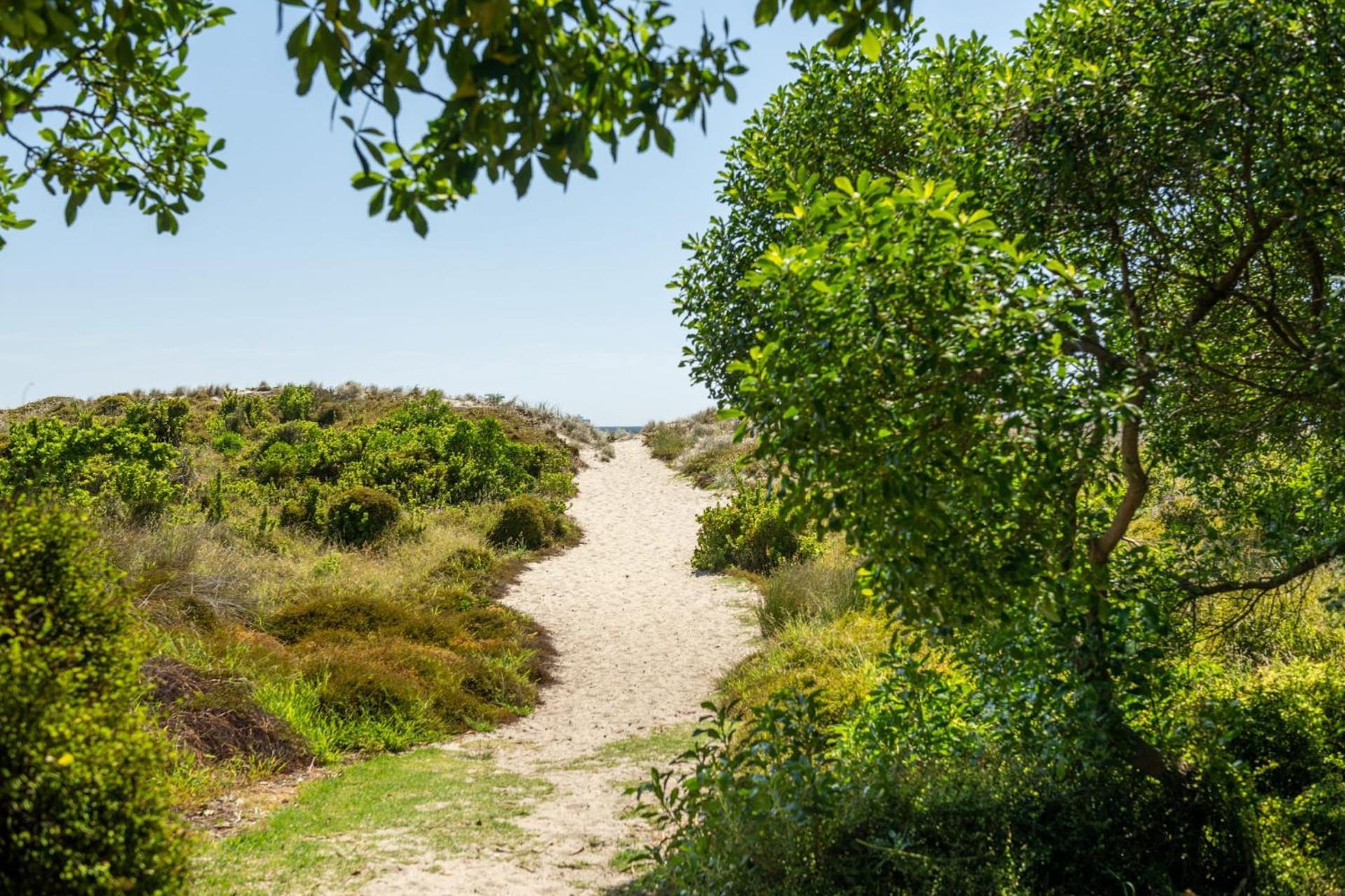Ocean Beach Getaway Mount Maunganui Exterior foto